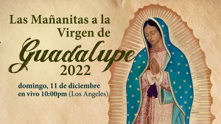 The Virgin of Guadalupe's Apparition: A Historical Timeline