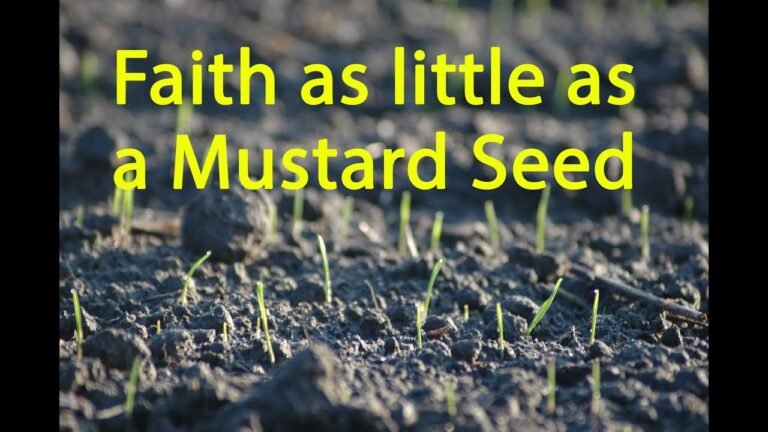 Scripture: Faith of a Mustard Seed