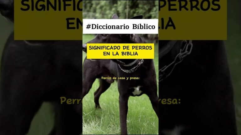 biblical-dog-names-a-comprehensive-list-actualizado-september-2024