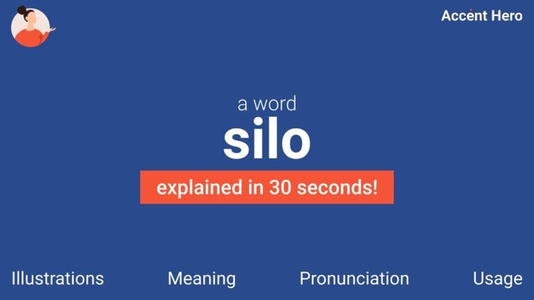 Decoding the Meaning of Silo in English