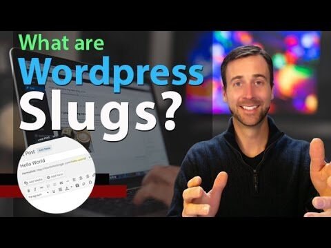 Understanding WordPress Slugs: A Complete Guide