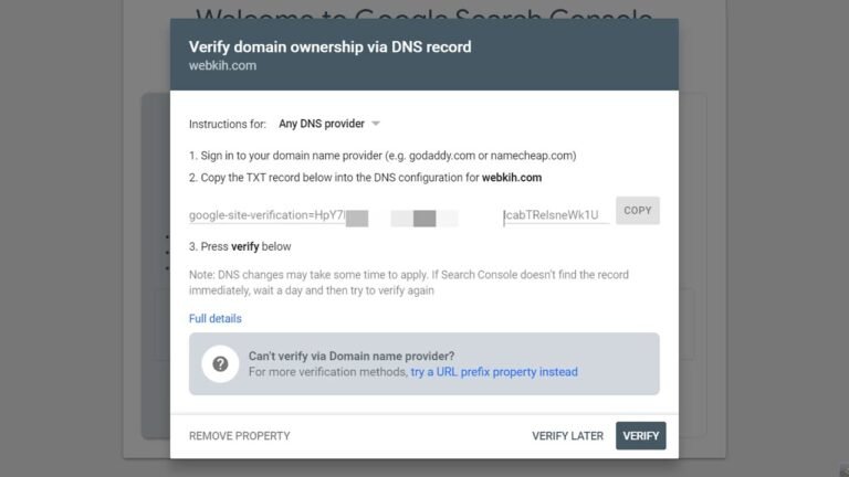 Streamlined DNS Record Verification for Domain Ownership