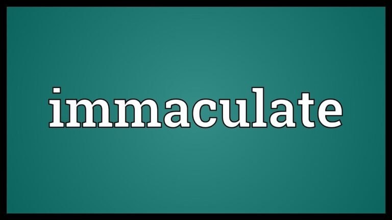 The Meaning of Immaculate