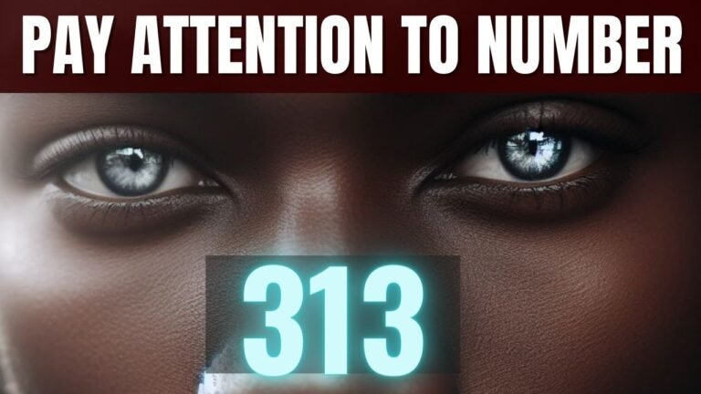 Unlocking the 313 Meaning: Insights and Interpretations