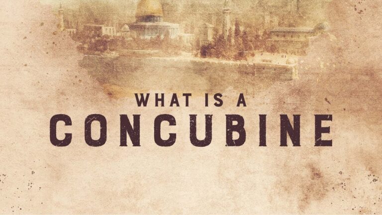 Understanding the Role of a Concubine