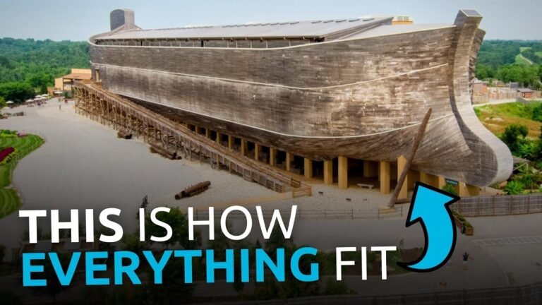 The Animal Count on Noah's Ark: A Closer Look