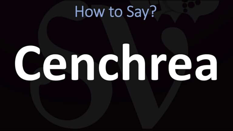 Exploring the Historical Significance of Cenchrea