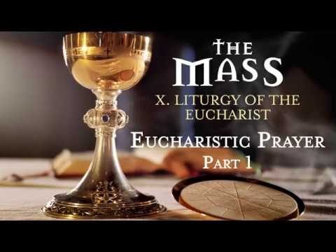 Embracing the Eucharist: A Prayerful Journey