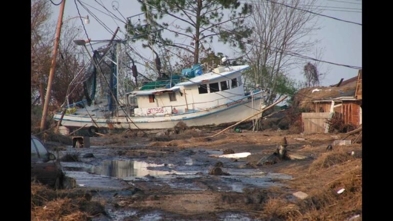 Unveiling the Legacy of Katrina Parish