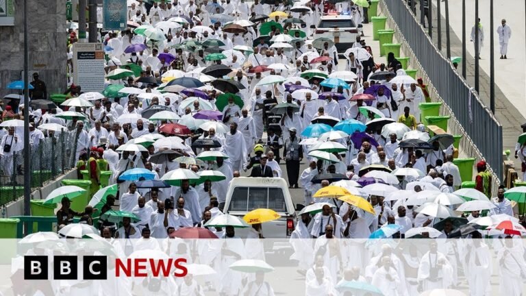 Hajj Deaths in Saudi Arabia: A Comprehensive Overview