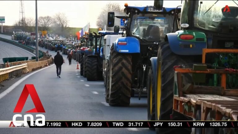 French Farmers Rise Up: Protests Against Agricultural Challenges