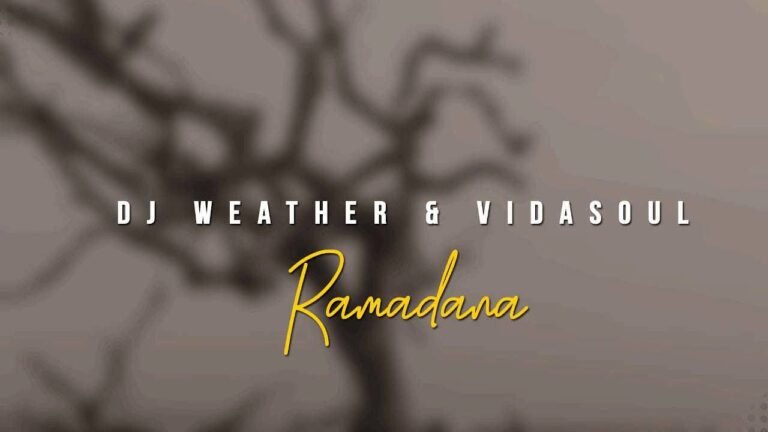 Understanding Vida Weather: Insights and Trends