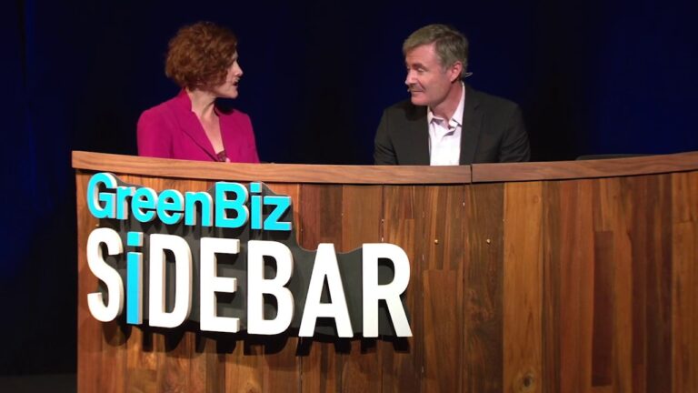 Revitalizing American Forests: The Role of Conservation Organizations