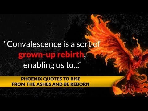 Rise from the Ashes: Inspiring Phoenix Bird Quotes