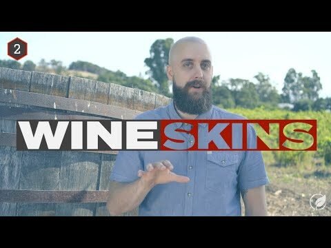 Embracing New Wineskins: Transforming Tradition for Modern Challenges