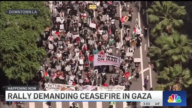 Voices Unite: Today's Protest in LA