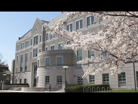 Navigating Legal Education: Insights from Columbus School of Law