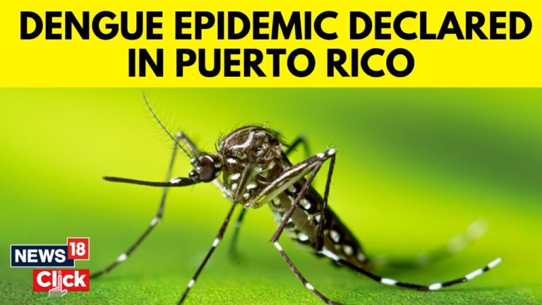 Epidemics and Public Health Challenges in Puerto Rico