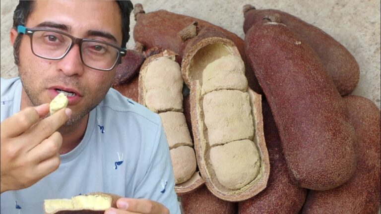 Guardians of Guapinol: Protecting Nature and Communities