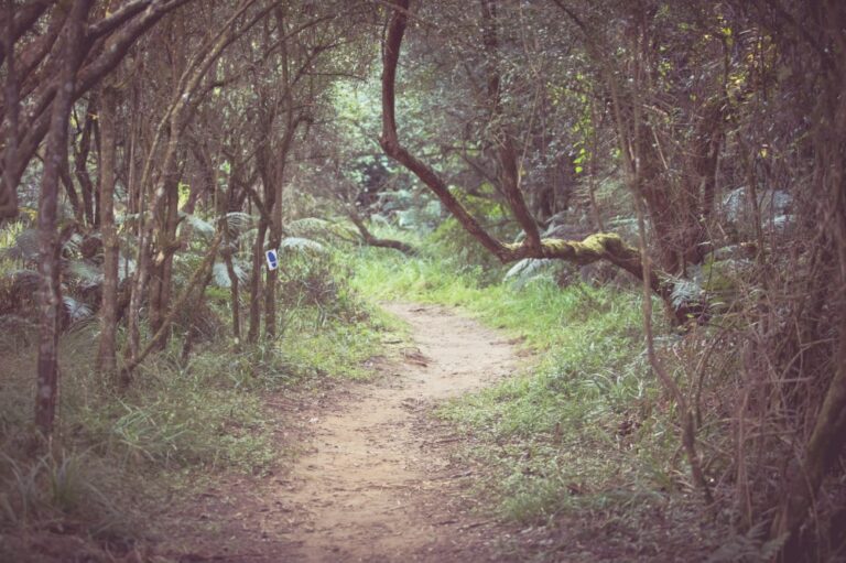 ‘Not all who wander are lost’